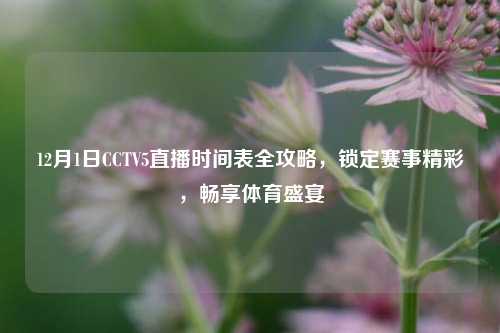 12月1日CCTV5直播时间表全攻略,锁定赛事精彩,畅享体育盛宴
