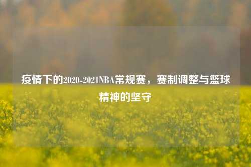 疫情下的2020-2021NBA常规赛,赛制调整与篮球精神的坚守