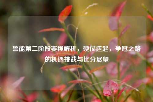 鲁能第二阶段赛程解析,硬仗迭起,争冠之路的机遇挑战与比分展望