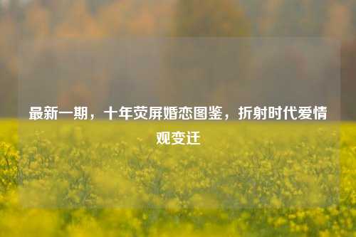 最新一期,十年荧屏婚恋图鉴,折射时代爱情观变迁