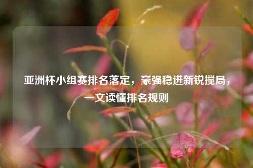 亚洲杯小组赛排名落定，豪强稳进新锐搅局，一文读懂排名规则