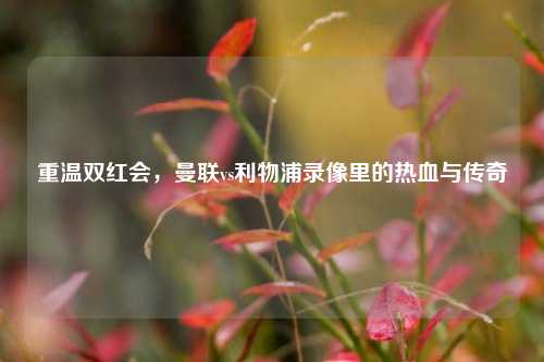 重温双红会，曼联vs利物浦录像里的热血与传奇