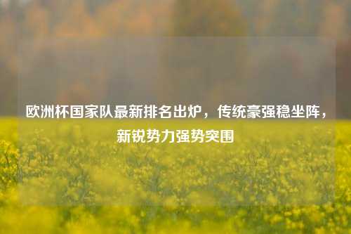 欧洲杯国家队最新排名出炉,传统豪强稳坐阵,新锐势力强势突围