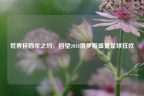 世界杯四年之约，回望2018俄罗斯盛夏足球狂欢
