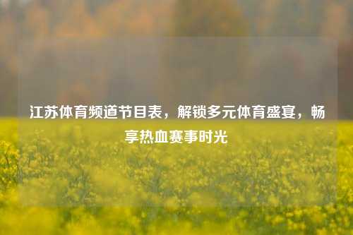 江苏体育频道节目表,解锁多元体育盛宴,畅享热血赛事时光