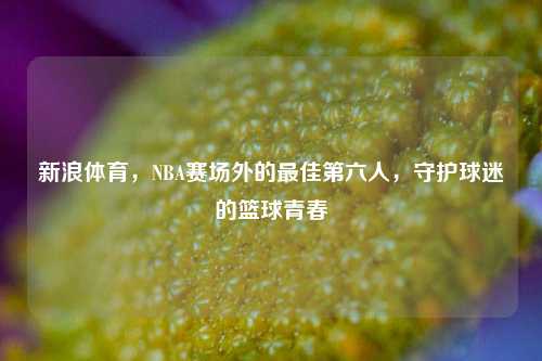 新浪体育,NBA赛场外的更佳第六人,守护球迷的篮球青春