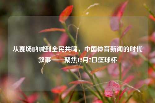 从赛场呐喊到全民共鸣,中国体育新闻的时代叙事——聚焦12月7日篮球杯