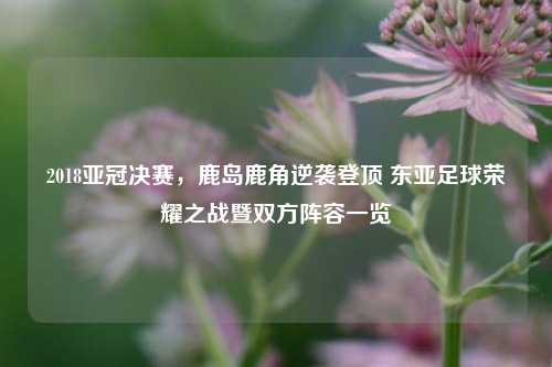 2018亚冠决赛,鹿岛鹿角逆袭登顶 东亚足球荣耀之战暨双方阵容一览
