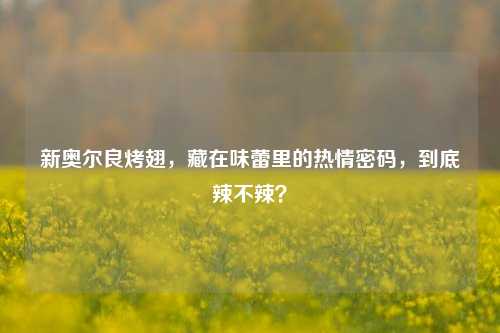 新奥尔良烤翅,藏在味蕾里的热情密码,到底辣不辣?