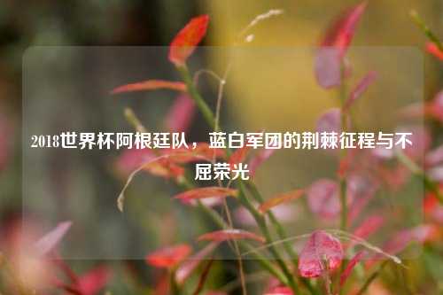 2018世界杯阿根廷队，蓝白军团的荆棘征程与不屈荣光