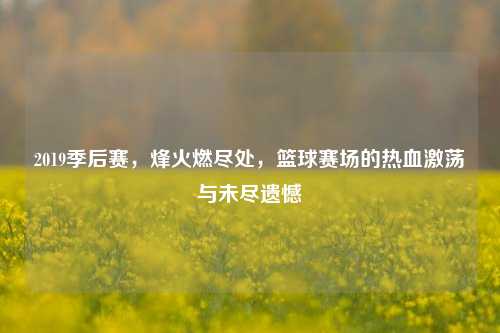 2019季后赛,烽火燃尽处,篮球赛场的热血激荡与未尽遗憾