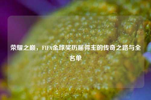 荣耀之巅,FIFA金球奖历届得主的传奇之路与全名单