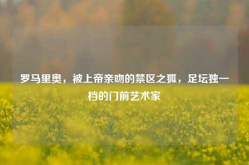 罗马里奥,被上帝亲吻的禁区之狐,足坛独一档的门前艺术家