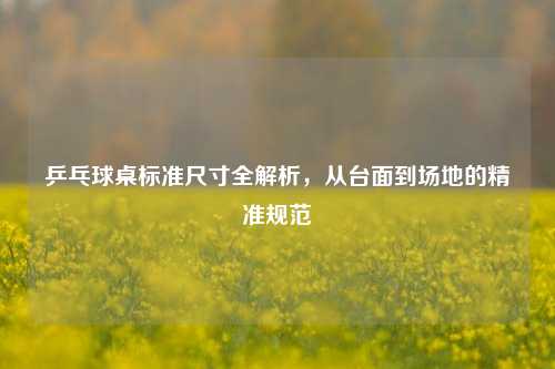 乒乓球桌标准尺寸全解析,从台面到场地的精准规范