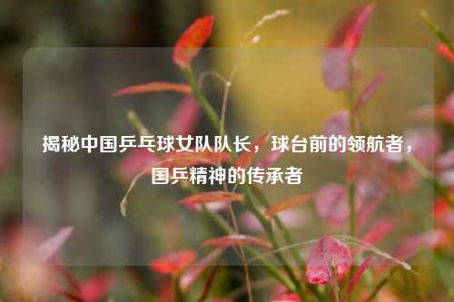 揭秘中国乒乓球女队队长,球台前的领航者,国乒精神的传承者
