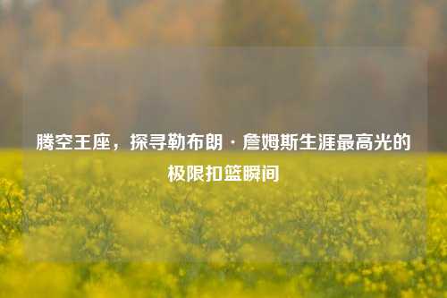 腾空王座,探寻勒布朗·詹姆斯生涯更高光的极限扣篮瞬间