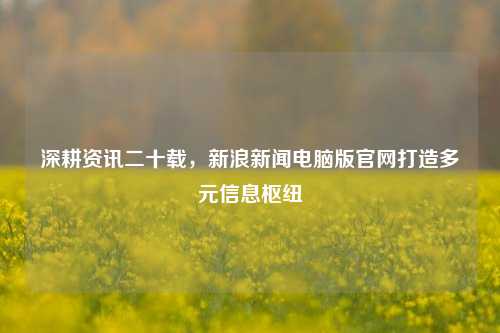 深耕资讯二十载,新浪新闻电脑版官网打造多元信息枢纽