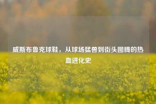 威斯布鲁克球鞋，从球场猛兽到街头图腾的热血进化史