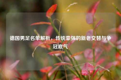 德国男足名单解析,传统豪强的新老交替与争冠底气