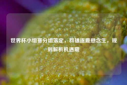 世界杯小组赛分组落定，群雄逐鹿悬念生，规则解析机遇藏