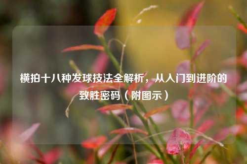 横拍十八种发球技法全解析,从入门到进阶的致胜密码(附图示)