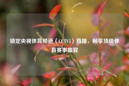 锁定央视体育频道(CCTV5)直播,畅享顶级体育赛事盛宴