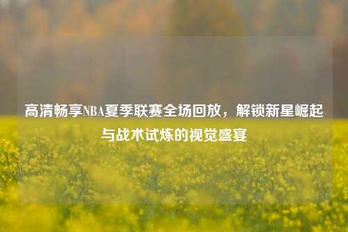 高清畅享NBA夏季联赛全场回放,解锁新星崛起与战术试炼的视觉盛宴
