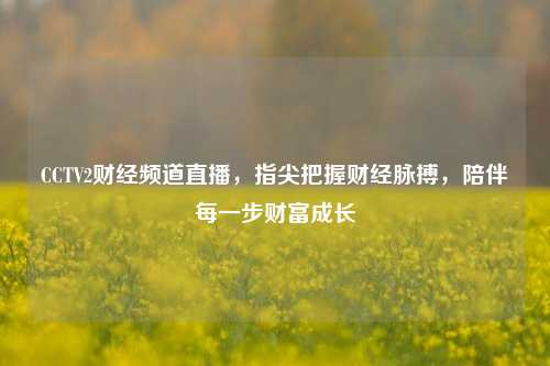CCTV2财经频道直播,指尖把握财经脉搏,陪伴每一步财富成长