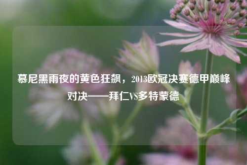 慕尼黑雨夜的黄色狂飙，2013欧冠决赛德甲巅峰对决——拜仁VS多特蒙德