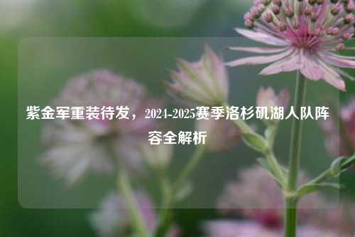 紫金军重装待发,2024-2025赛季洛杉矶湖人队阵容全解析
