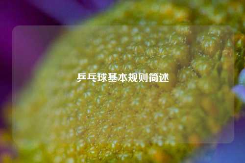 乒乓球基本规则简述