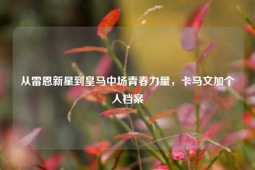 从雷恩新星到皇马中场青春力量,卡马文加个人档案