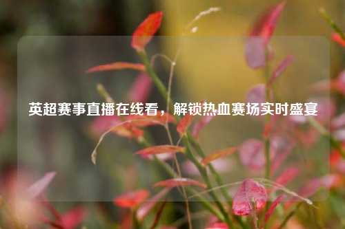 英超赛事直播在线看,解锁热血赛场实时盛宴