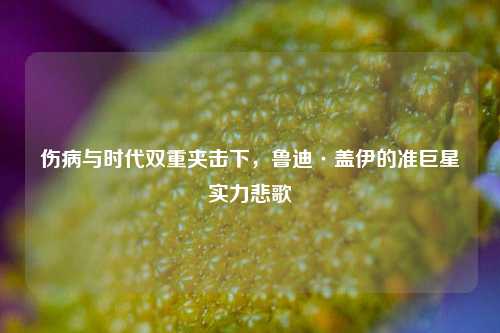 伤病与时代双重夹击下,鲁迪·盖伊的准巨星实力悲歌