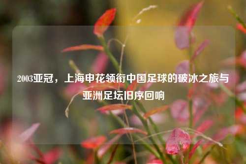 2003亚冠,上海申花领衔中国足球的破冰之旅与亚洲足坛旧序回响