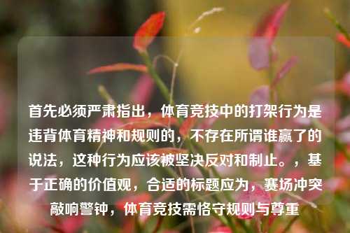 首先必须严肃指出,体育竞技中的打架行为是违背体育精神和规则的,不存在所谓谁赢了的说法,这种行为应该被坚决反对和制止。,基于正确的价值观,合适的标题应为,赛场冲突敲响警钟,体育竞技需恪守规则与尊重