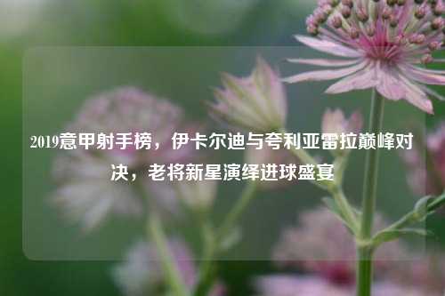 2019意甲射手榜,伊卡尔迪与夸利亚雷拉巅峰对决,老将新星演绎进球盛宴