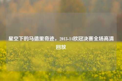 星空下的马德里奇迹,2013-14欧冠决赛全场高清回放