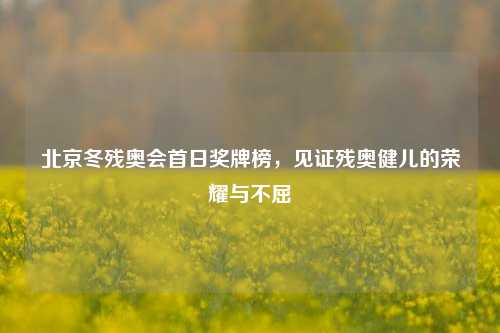北京冬残奥会首日奖牌榜,见证残奥健儿的荣耀与不屈