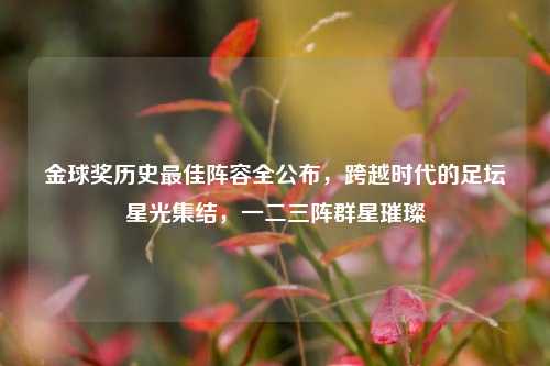 金球奖历史更佳阵容全公布,跨越时代的足坛星光集结,一二三阵群星璀璨