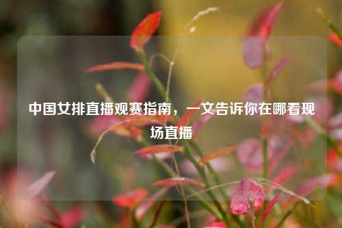 中国女排直播观赛指南，一文告诉你在哪看现场直播