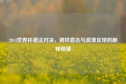 2014世界杯德法对决,钢铁意志与浪漫足球的巅峰碰撞