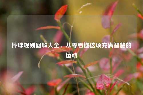 棒球规则图解大全,从零看懂这项充满智慧的运动