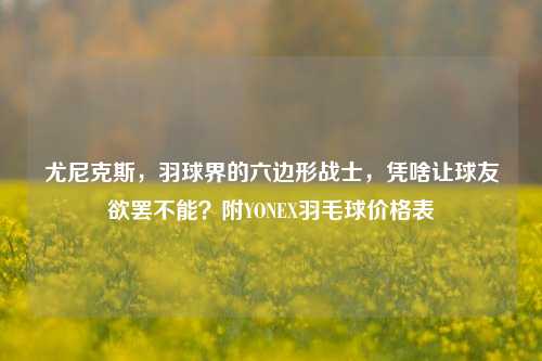 尤尼克斯，羽球界的六边形战士，凭啥让球友欲罢不能？附YONEX羽毛球价格表