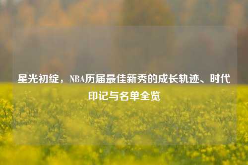 星光初绽,NBA历届更佳新秀的成长轨迹、时代印记与名单全览