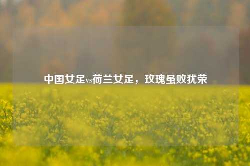 中国女足vs荷兰女足,玫瑰虽败犹荣