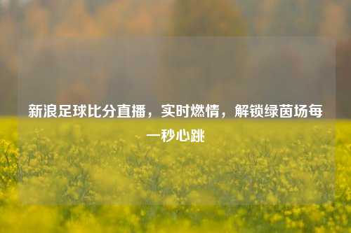 新浪足球比分直播,实时燃情,解锁绿茵场每一秒心跳