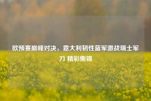 欧预赛巅峰对决,意大利韧性蓝军激战瑞士军刀 精彩集锦