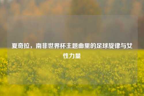 夏奇拉,南非世界杯主题曲里的足球旋律与女性力量