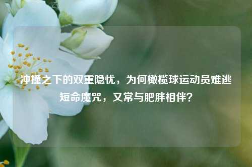 冲撞之下的双重隐忧,为何橄榄球运动员难逃短命魔咒,又常与肥胖相伴?